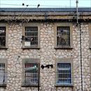 Quali sono le carceri pi affollate in Europa 