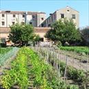 Festa dell''Orto delle Meraviglie nel carcere della Giudecca: 20 anni di erbe officinali, frutta e verdure