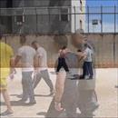 Detenuto omosessuale va allocato un una sezione omogenea e non in una protetta o promiscua: lo stabilisce ordinanza del Tribunale sorveglianza Spoleto