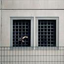 Suicidi nella carceri italiane: con queste condizioni un suicidio a settimana  pure poco